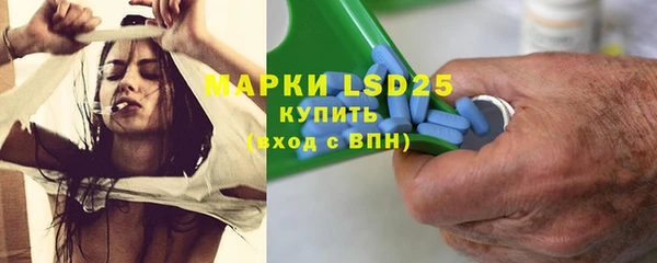 гашик Остров