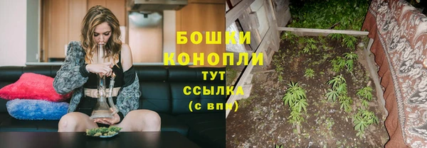 гашик Остров