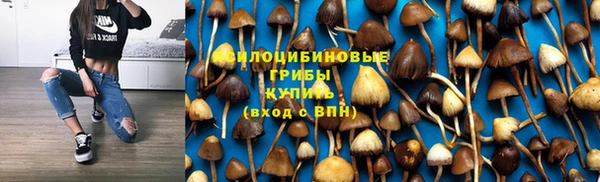 экстази Осинники