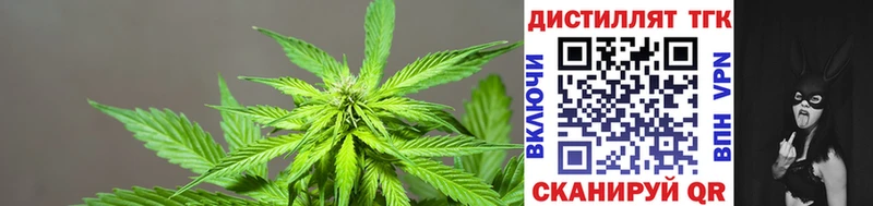 Дистиллят ТГК THC oil Новоузенск