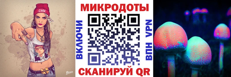 Псилоцибиновые грибы мухоморы дарнет шоп Новоузенск